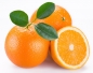 Preview: Orangen für Orangen Eierlikör der edelbrennerei Wurth